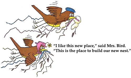 The Best Nest Illustration